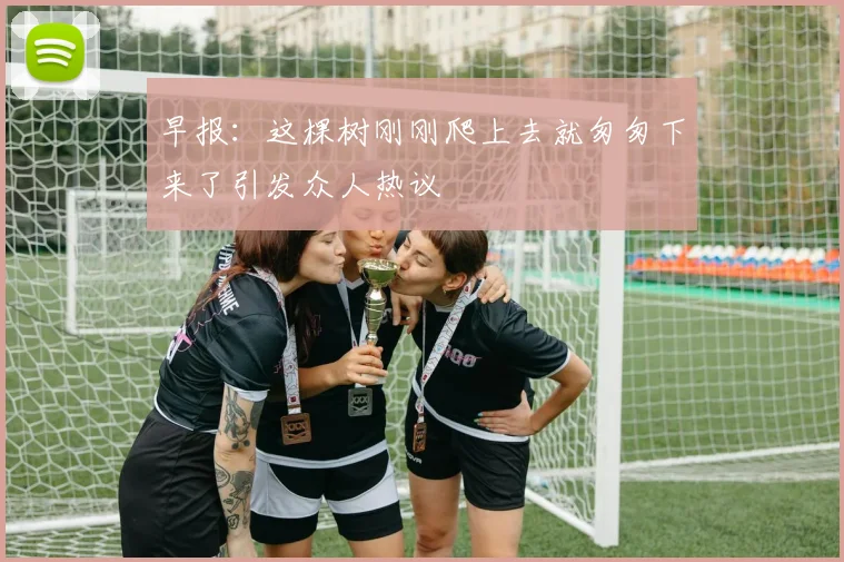 早报：这棵树刚刚爬上去就匆匆下来了引发众人热议
