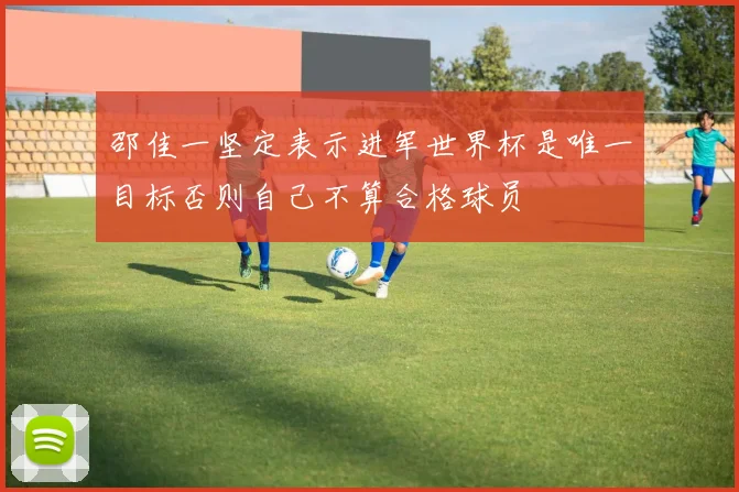 邵佳一坚定表示进军世界杯是唯一目标否则自己不算合格球员