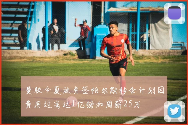 曼联今夏放弃签帕尔默转会计划因费用过高达1亿镑加周薪25万
