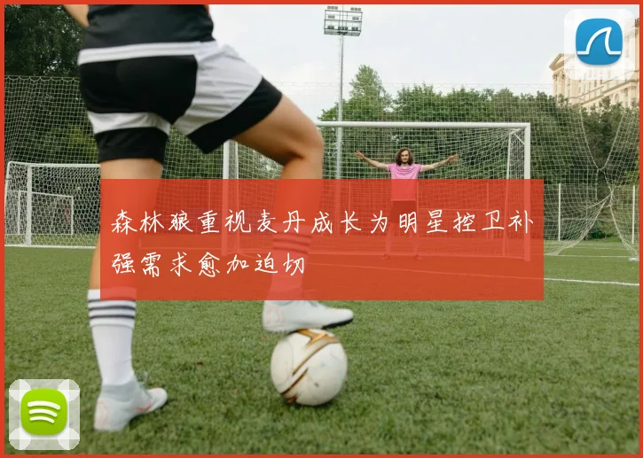 森林狼重视麦丹成长为明星控卫补强需求愈加迫切